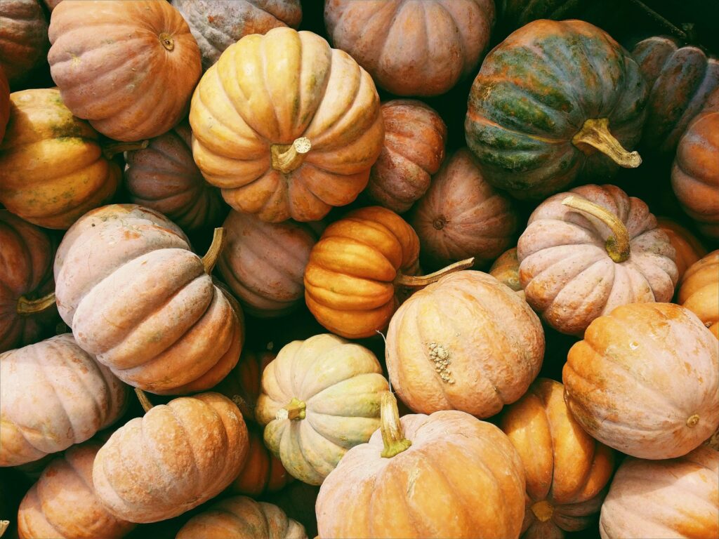 Photo by <a href="https://unsplash.com/@kerstinwrba?utm_content=creditCopyText&utm_medium=referral&utm_source=unsplash">Kerstin Wrba</a> on <a href="https://unsplash.com/photos/photo-of-orange-and-green-squash-lot-zeInZepl_Hw?utm_content=creditCopyText&utm_medium=referral&utm_source=unsplash">Unsplash</a>